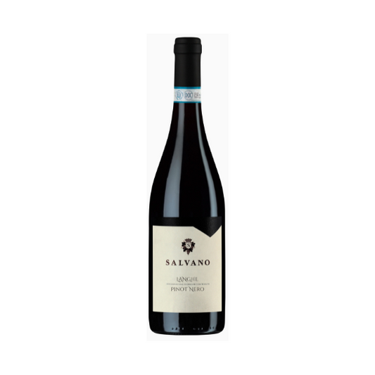 Langhe Pinot Nero DOC Salvano Rotwein - Piemont - Italien